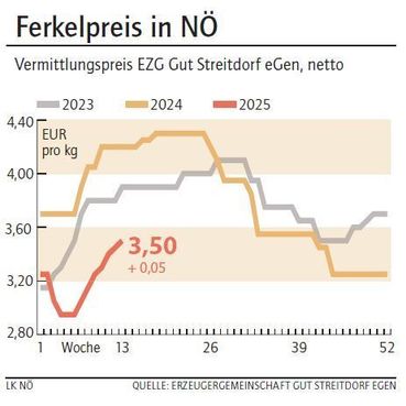 Grafik Ferkelpreis 13_2025.jpg © LK NÖ Grafik Ferkelpreis 13_2025.jpg © LK NÖ