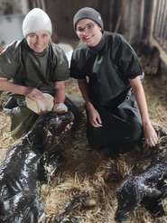 sb12_mb_geburtneu.jpg © Privat sb12_mb_geburtneu.jpg © Privat
