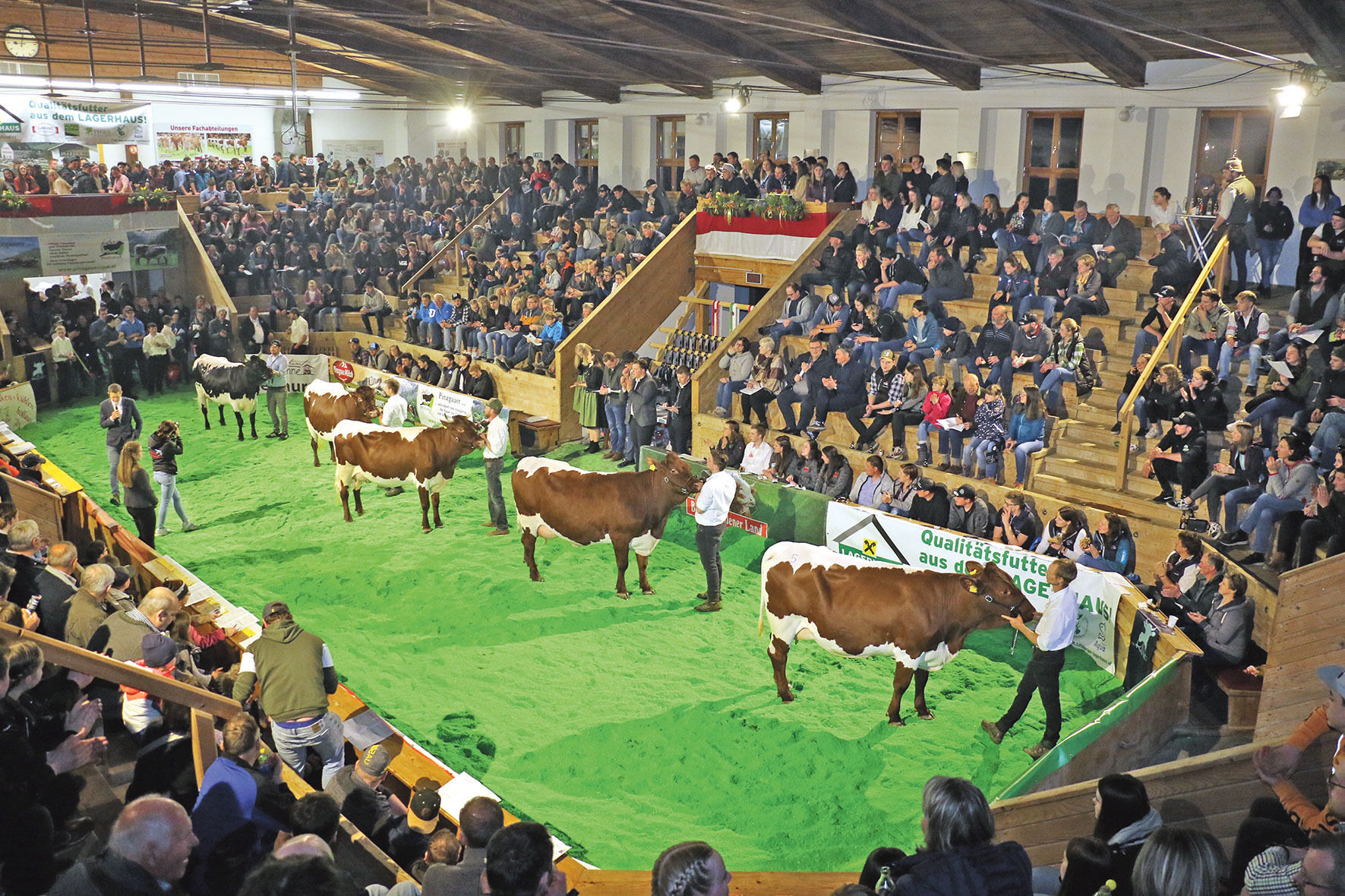 Jungkuhchampionat.jpg © Sendlhofer Jungkuhchampionat.jpg © Sendlhofer