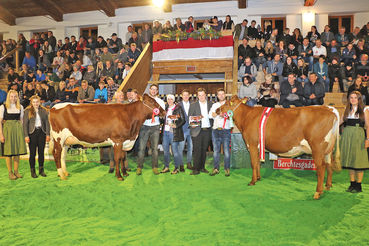 Jungkuhchampionat.jpg © Sendlhofer Jungkuhchampionat.jpg © Sendlhofer