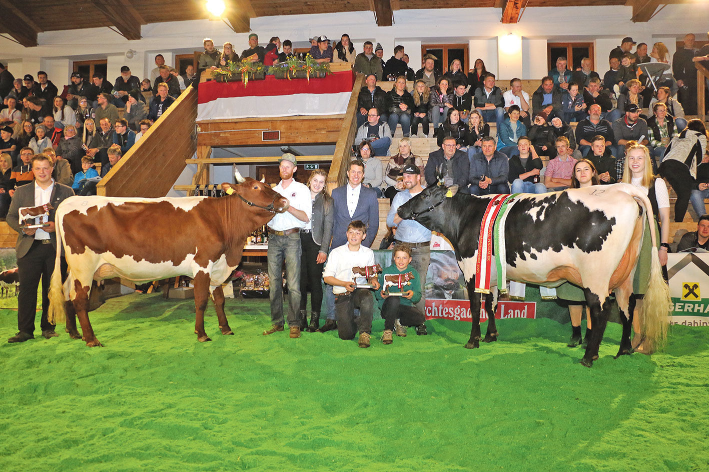 Jungkuhchampionat.jpg © Sendlhofer Jungkuhchampionat.jpg © Sendlhofer