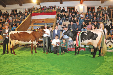 Jungkuhchampionat.jpg © Sendlhofer Jungkuhchampionat.jpg © Sendlhofer