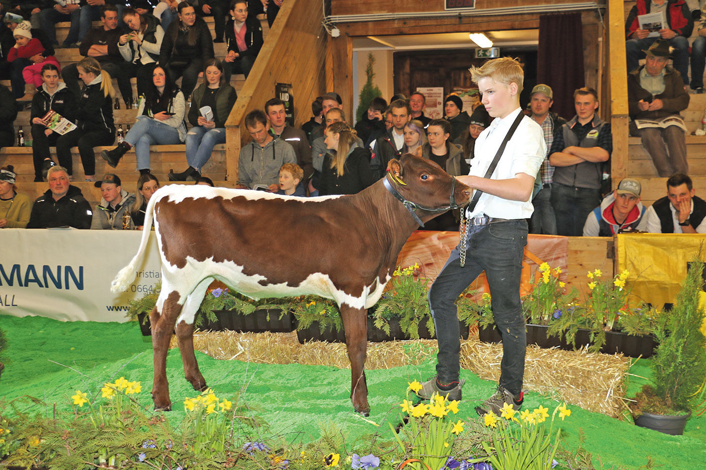 Jungkuhchampionat.jpg © Sendlhofer Jungkuhchampionat.jpg © Sendlhofer
