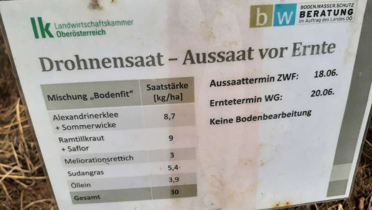 ZWF-Anbautermin-Versuch in Steinhaus, Fotos vom 24.03.2025