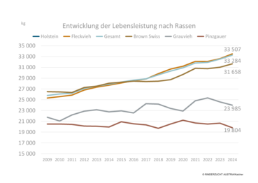 Grafik Entwicklung der Lebensleistung nach Rassen.png © Rinderzucht Austria