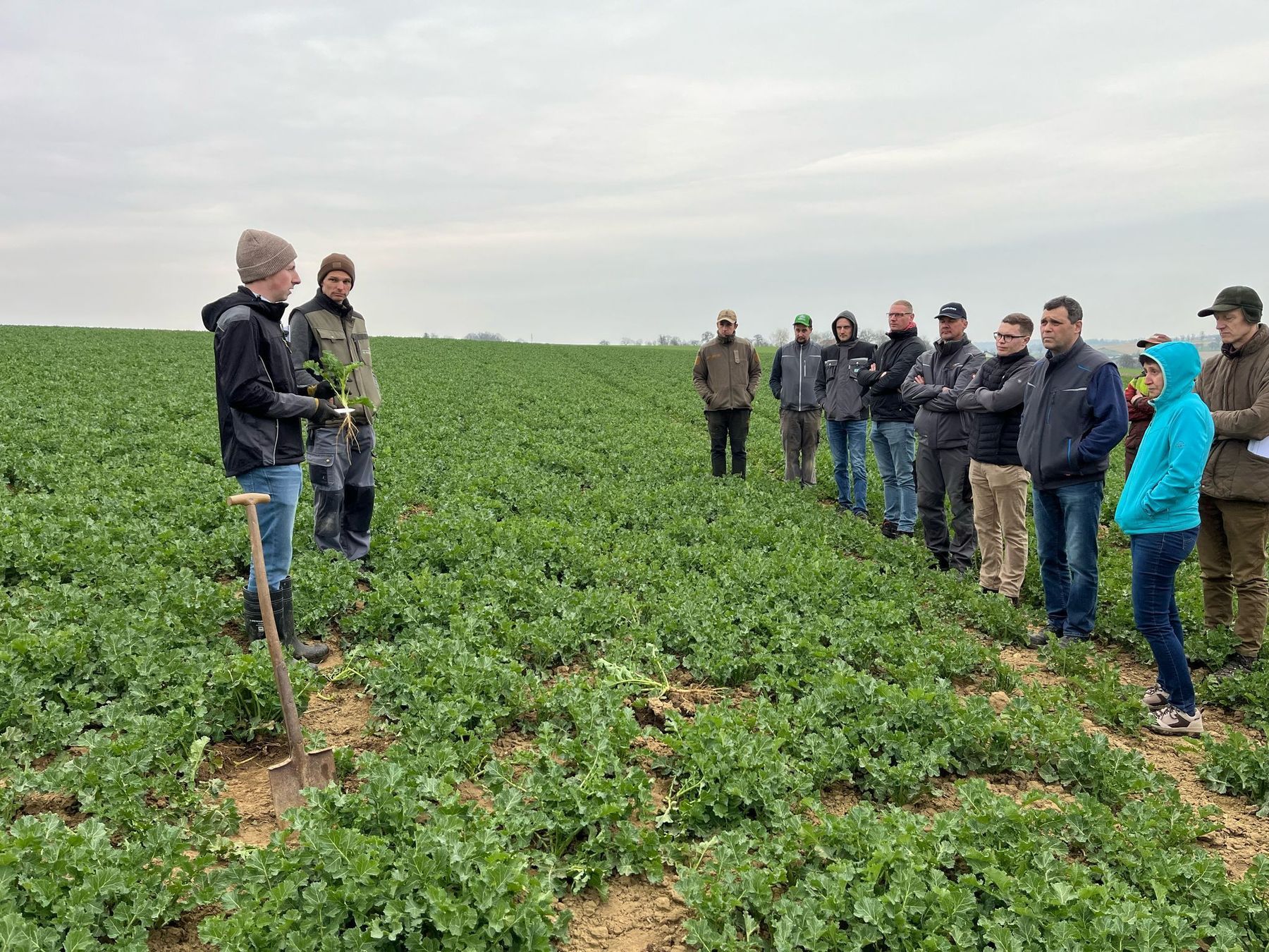 Eindrücke von der Feldbegehung in Allhaming mit Jakob Angerer und Alexander Schmid. Die Gerste ist bei diesem Betrieb schon weit entwickelt (EC 30 Beginn Schossen), der Weizen ist Mitte Bestockung. Raps kürzen steht an!  © BWSB Eindrücke von der Feldbegehung in Allhaming mit Jakob Angerer und Alexander Schmid. Die Gerste ist bei diesem Betrieb schon weit entwickelt (EC 30 Beginn Schossen), der Weizen ist Mitte Bestockung. Raps kürzen steht an!  © BWSB