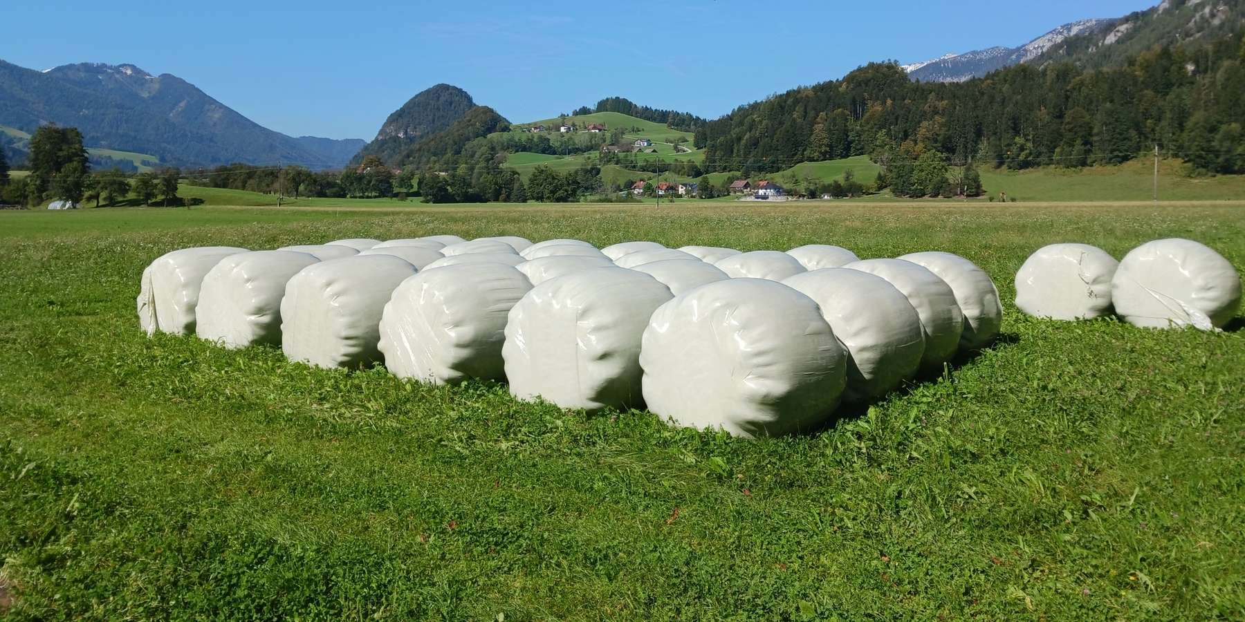 Lagerung Siloballen im Grünland.jpg © LK OÖ/Mandl Lagerung Siloballen im Grünland.jpg © LK OÖ/Mandl