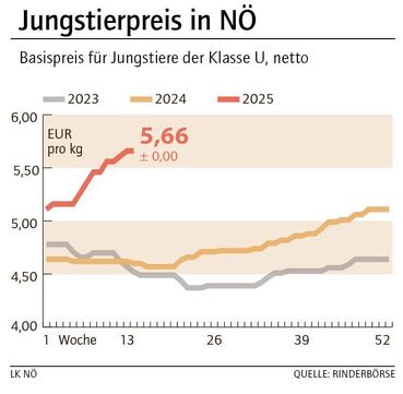 Grafik Stierpreis 14_2025.jpg © LK NÖ