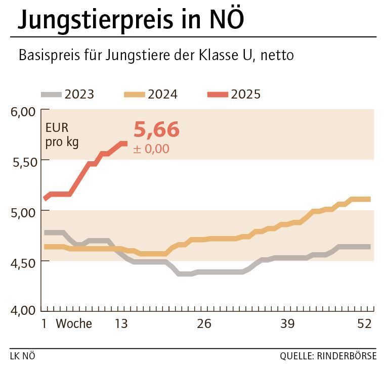 Grafik Stierpreis 14_2025.jpg © LK NÖ
