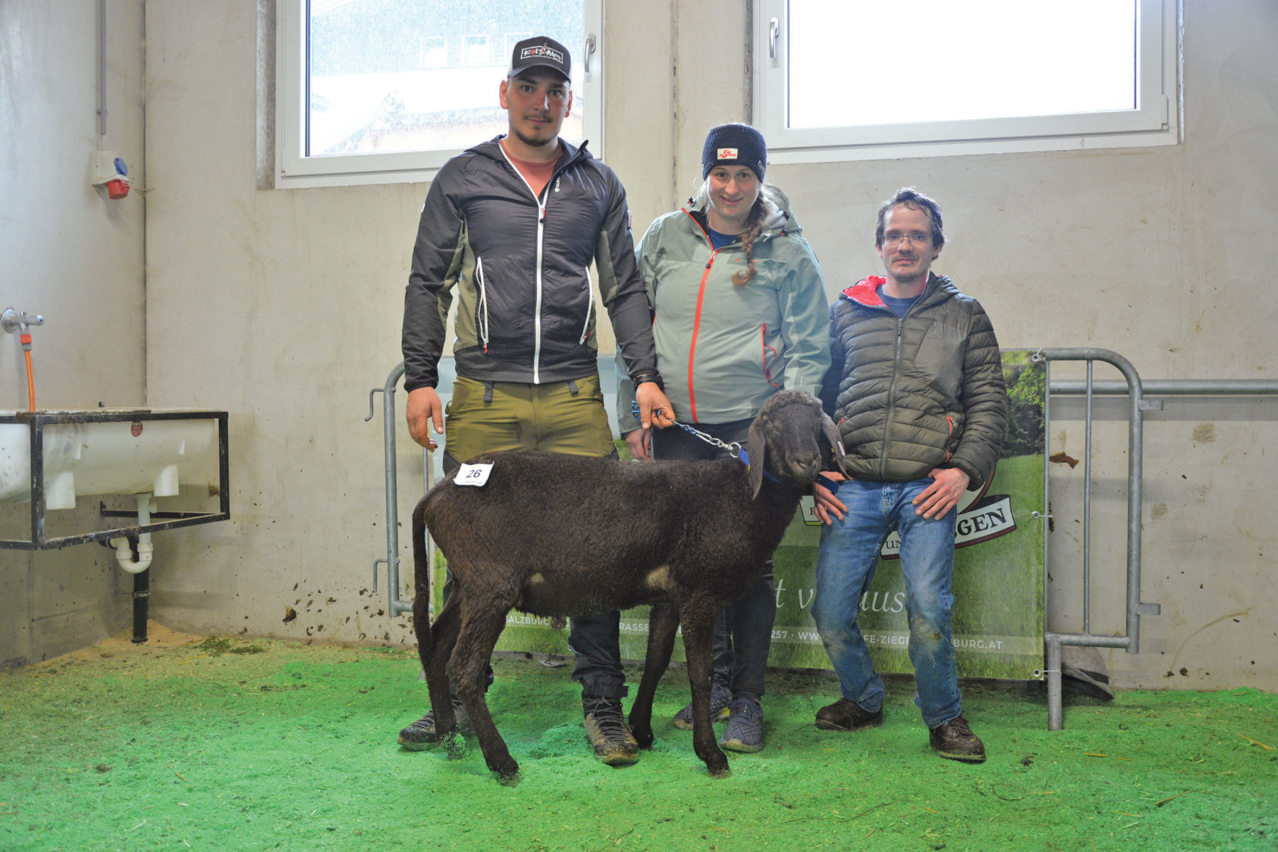 Versteigerung in Maishofen mit großem Rassenspektrum.jpg © SZV Salzburg Versteigerung in Maishofen mit großem Rassenspektrum.jpg © SZV Salzburg