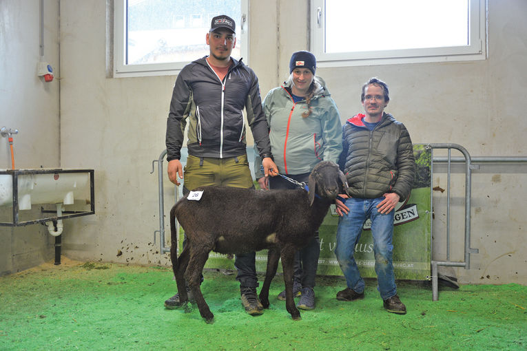 Versteigerung in Maishofen mit großem Rassenspektrum.jpg © SZV Salzburg Versteigerung in Maishofen mit großem Rassenspektrum.jpg © SZV Salzburg