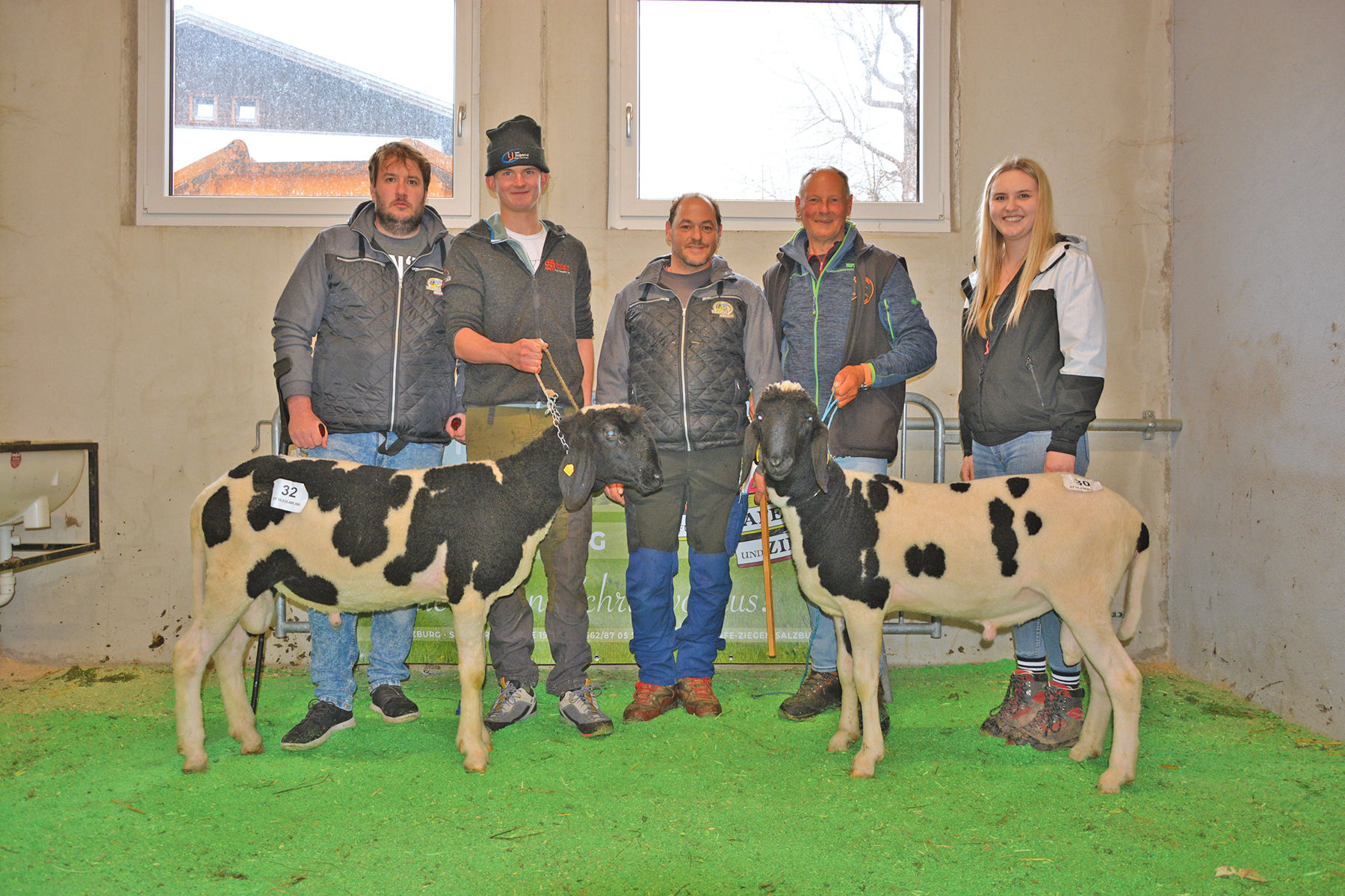 Versteigerung in Maishofen mit großem Rassenspektrum.jpg © SZV Salzburg Versteigerung in Maishofen mit großem Rassenspektrum.jpg © SZV Salzburg
