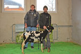 Versteigerung in Maishofen mit großem Rassenspektrum.jpg © SZV Salzburg