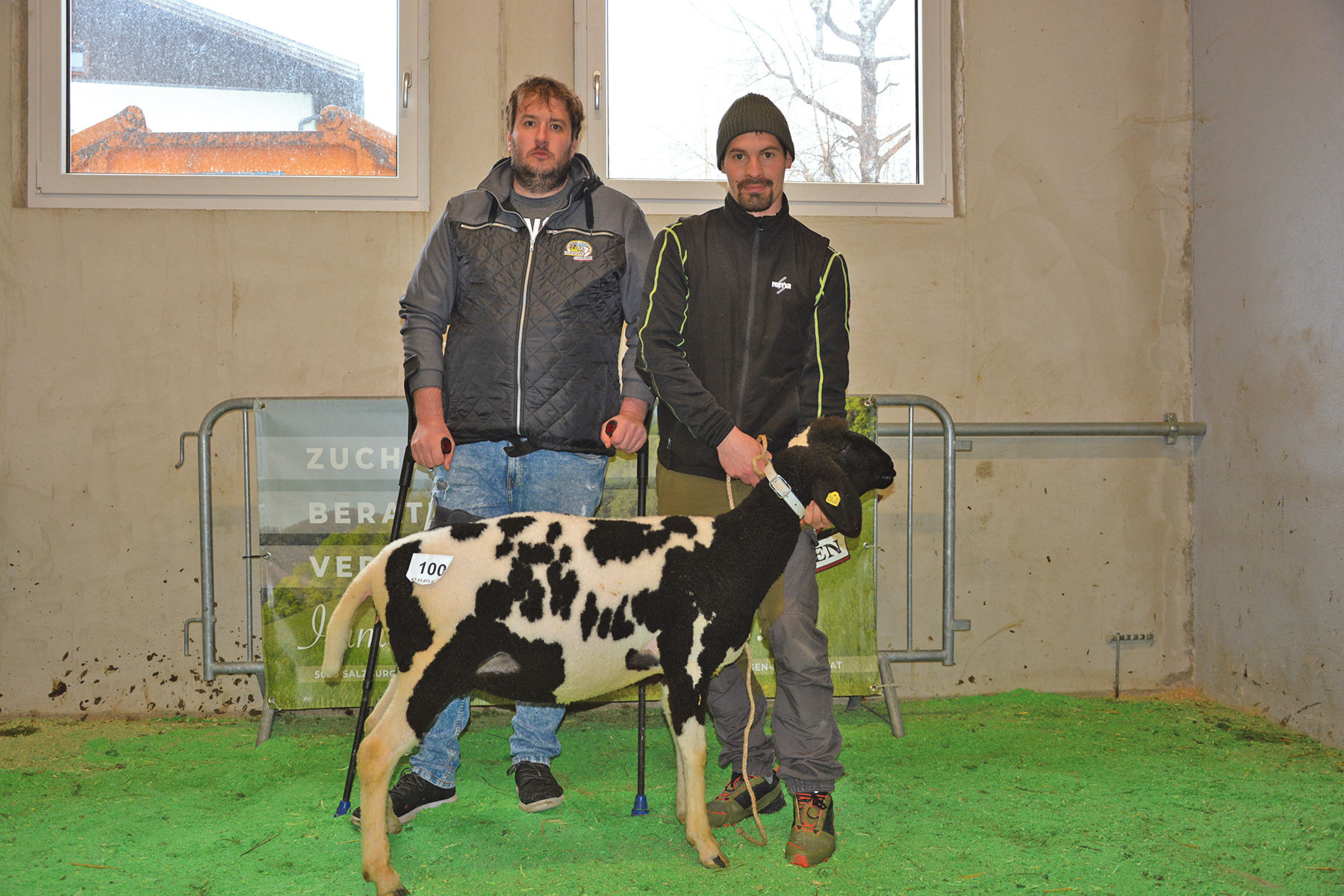 Versteigerung in Maishofen mit großem Rassenspektrum.jpg © SZV Salzburg Versteigerung in Maishofen mit großem Rassenspektrum.jpg © SZV Salzburg