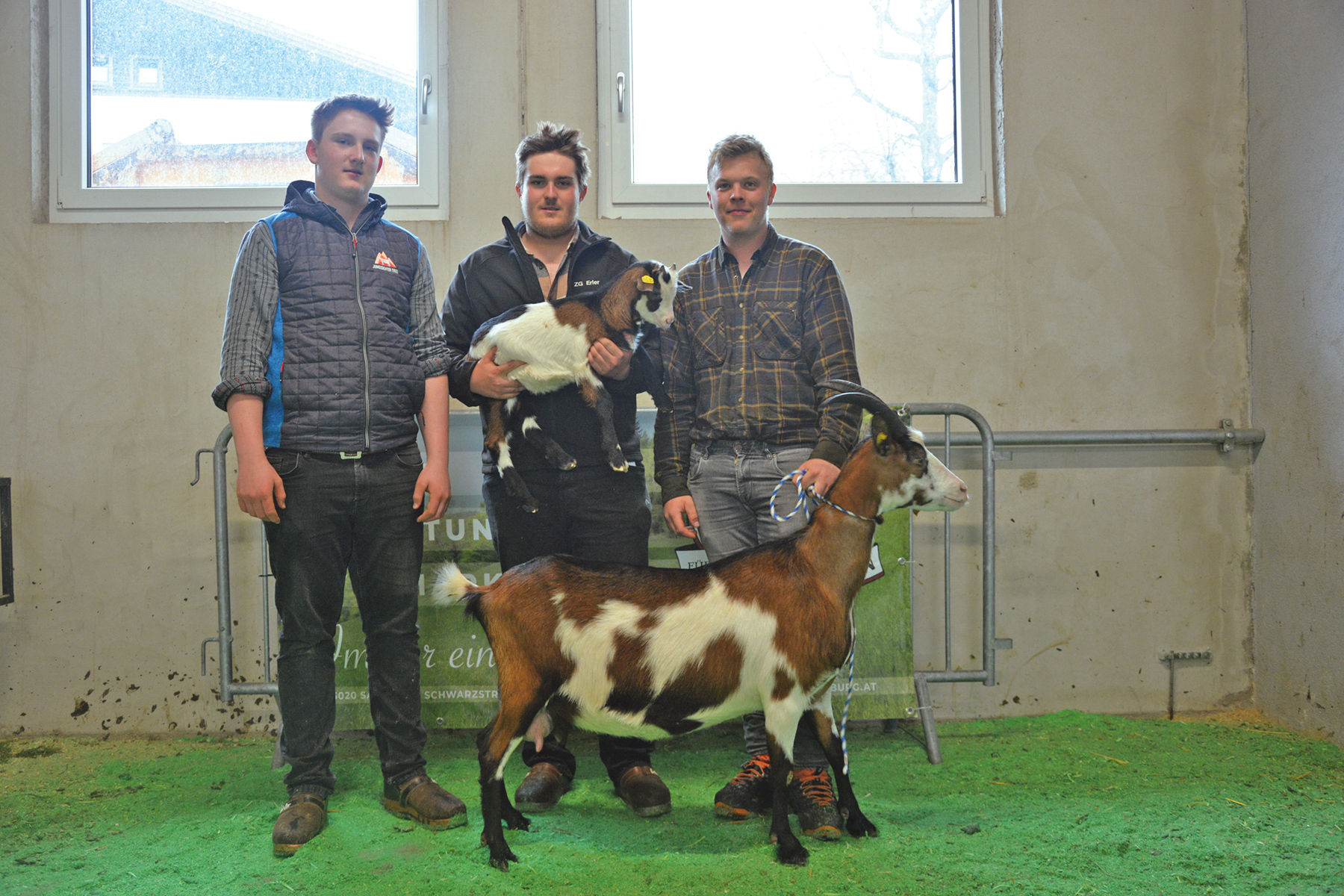 Versteigerung in Maishofen mit großem Rassenspektrum.jpg © SZV Salzburg Versteigerung in Maishofen mit großem Rassenspektrum.jpg © SZV Salzburg