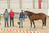 Ein großes Starterfeld mit bester Qualität.jpg © Silvia Reindl Photography