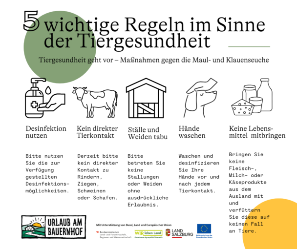 MKS 5 Regeln_Deutsch.png © Archiv