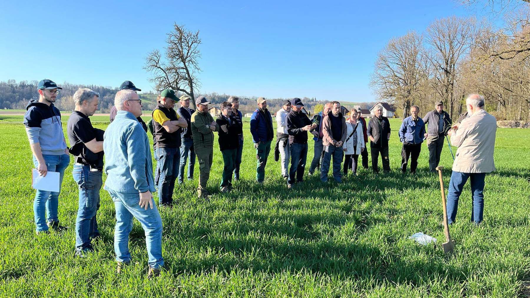 Frühjahrs - Feldbegehung in Neuhofen an der Krems, 4. April 2025