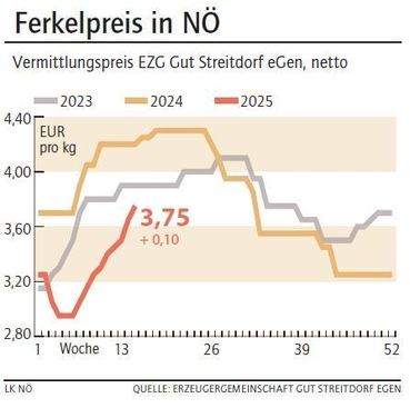 Grafik Ferkelpreis 15_2025.jpg © LK NÖ Grafik Ferkelpreis 15_2025.jpg © LK NÖ
