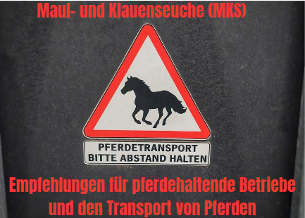 MKS Pferde.png © LK Niederösterreich