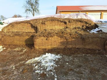 Abb._1__Grassilage.jpg © LK OÖ/Tiefenthaller