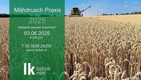  © LK Technik MOLD