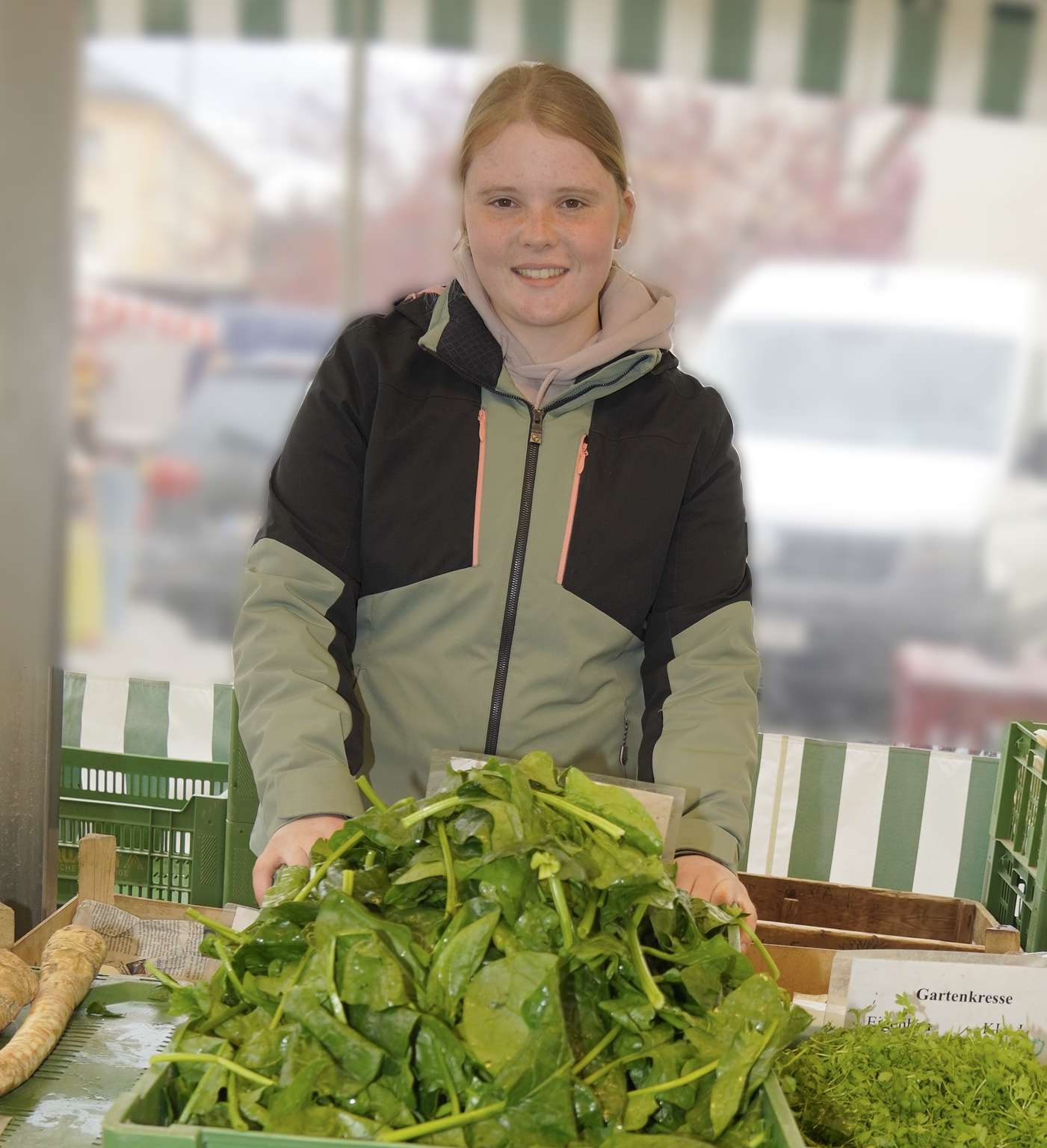 sb16_mt_spinach.jpg © Dürnberger