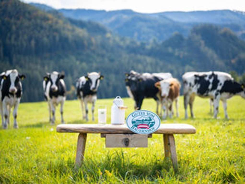 Schulmilch.jpg © AMA GENUSS REGION