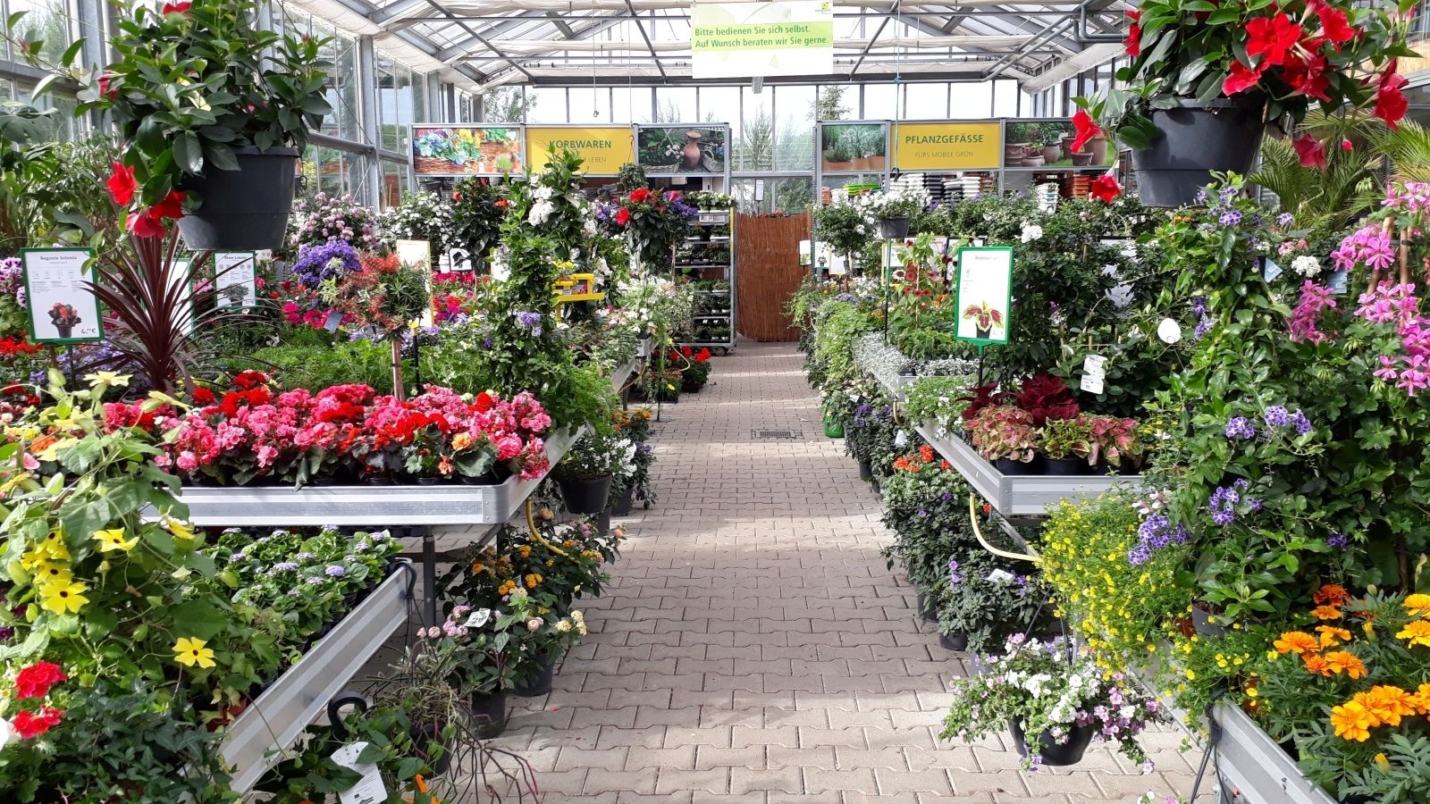 Gartentipp_Foto_Tag_d.o._Gärtnerei.jpg © LK OÖ/Stumvoll Gartentipp_Foto_Tag_d.o._Gärtnerei.jpg © LK OÖ/Stumvoll