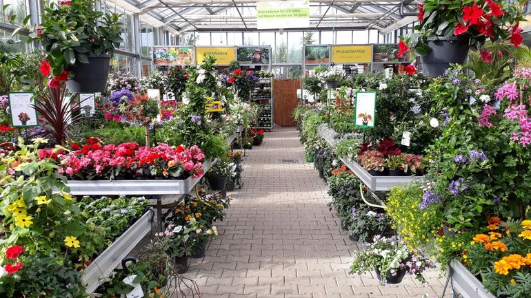 Gartentipp_Foto_Tag_d.o._Gärtnerei.jpg © LK OÖ/Stumvoll Gartentipp_Foto_Tag_d.o._Gärtnerei.jpg © LK OÖ/Stumvoll