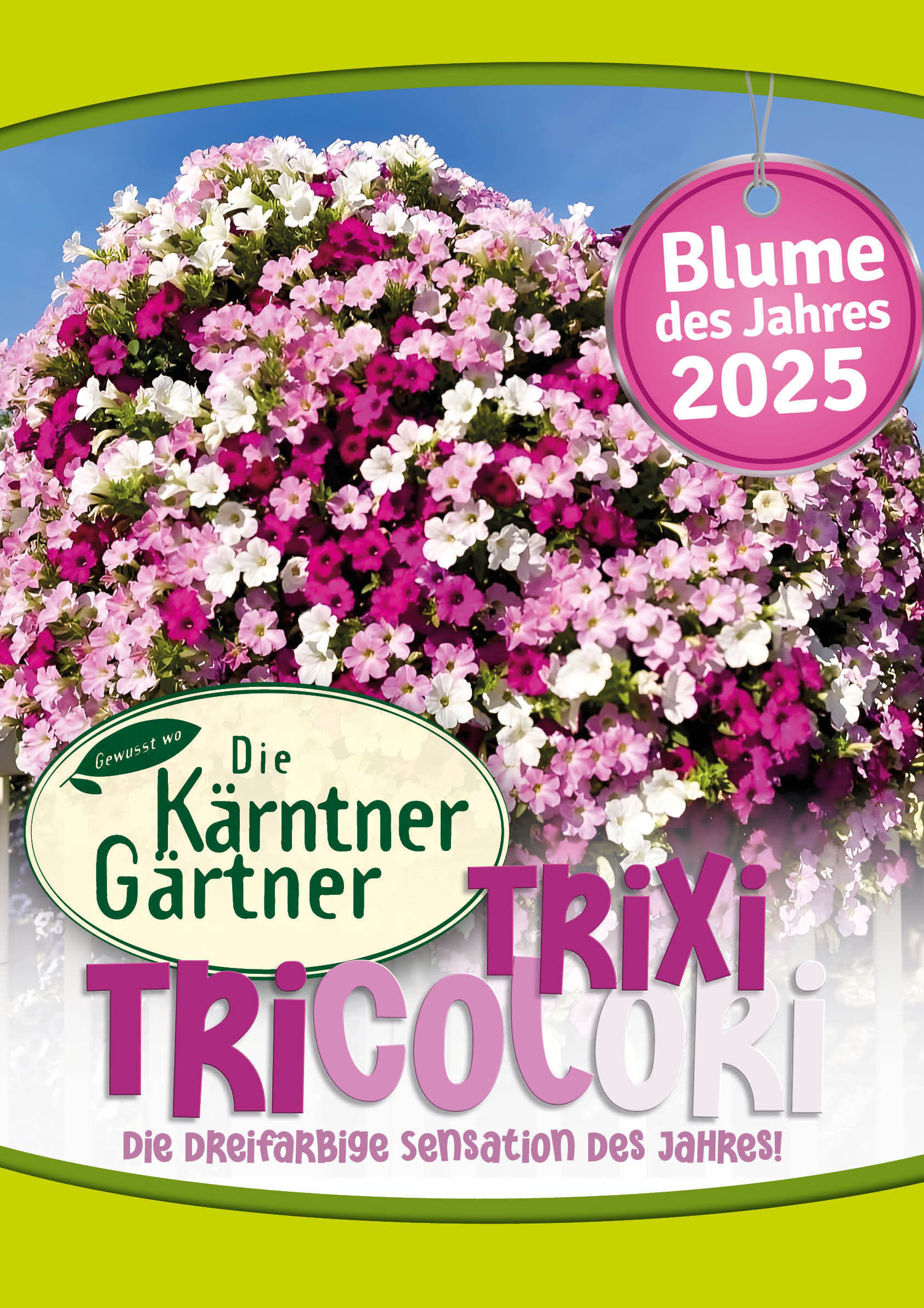 Trixi Tricolri.jpg © Kärntner Gärtner Trixi Tricolri.jpg © Kärntner Gärtner