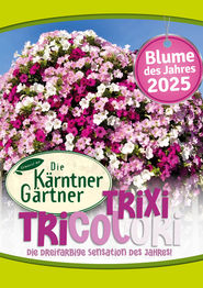 Trixi Tricolri.jpg © Kärntner Gärtner Trixi Tricolri.jpg © Kärntner Gärtner