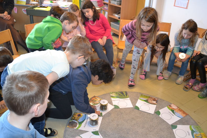 Schulaktionstag der Bäuerinnen in der Volksschule Ernstbrunn.jpg Schulaktionstag der Bäuerinnen in der Volksschule Ernstbrunn.jpg