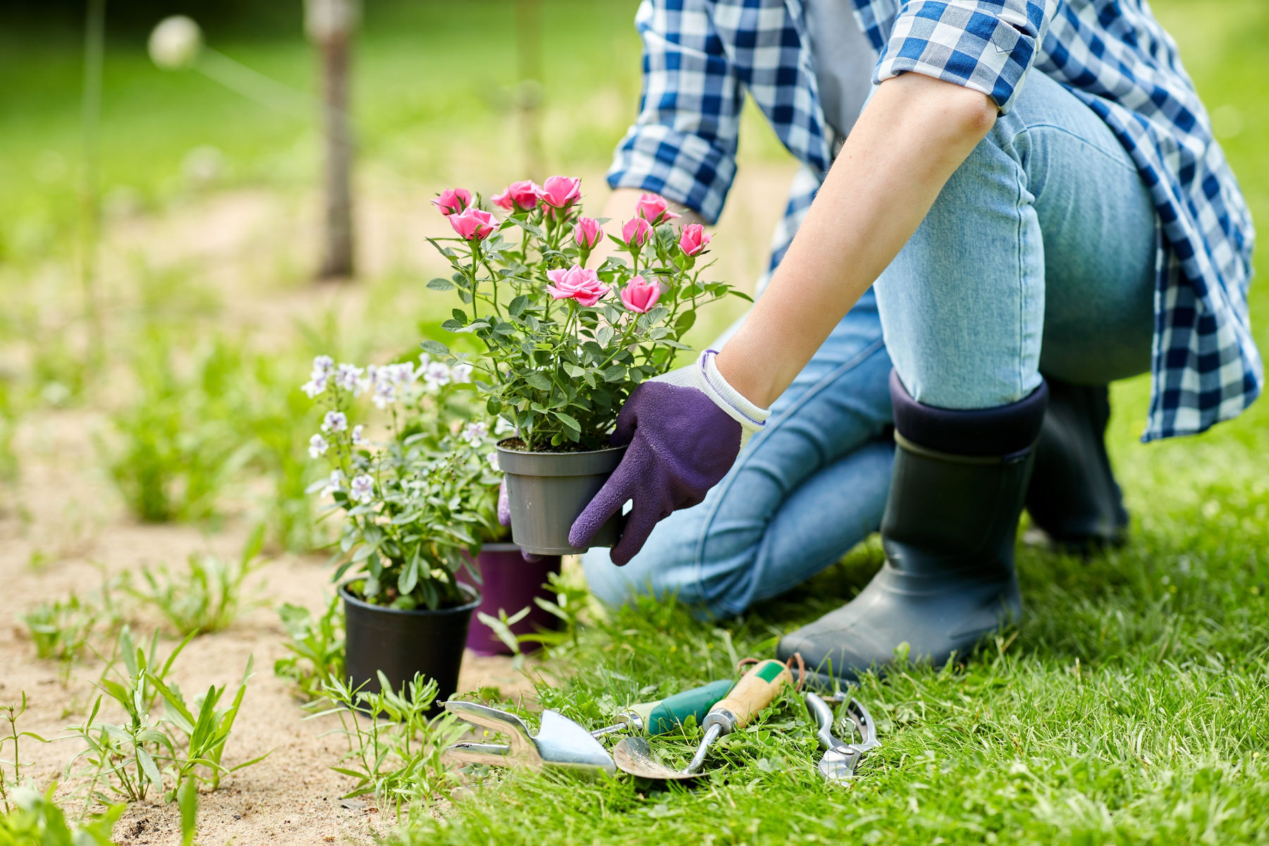 AdobeStock_378080937.jpg © AdobeStock/Syda Productions