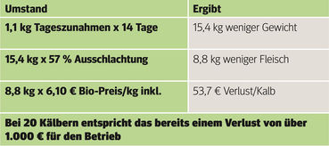 Mutterkuhhaltung bedeutet exaktes Management .jpg © Archiv
