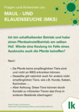 12_Pferde.png © LK Niederösterreich 12_Pferde.png © LK Niederösterreich