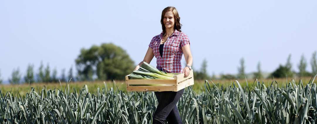 OBST GEMUESE.jpg © Alexander Haiden/LK Niederösterreich OBST GEMUESE.jpg © Alexander Haiden/LK Niederösterreich