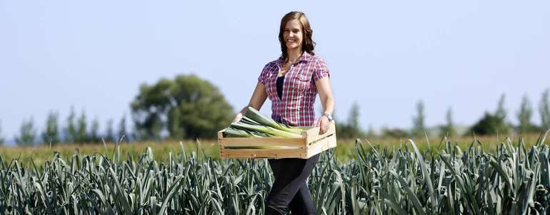 OBST GEMUESE.jpg © Alexander Haiden/LK Niederösterreich OBST GEMUESE.jpg © Alexander Haiden/LK Niederösterreich