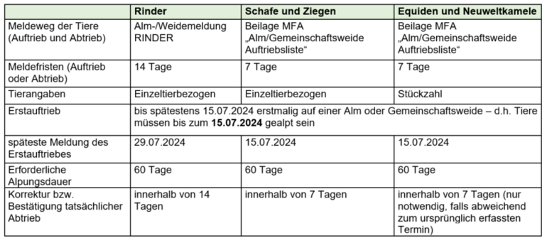 Almauftrieb 2025 © LKÖ Almauftrieb 2025 © LKÖ