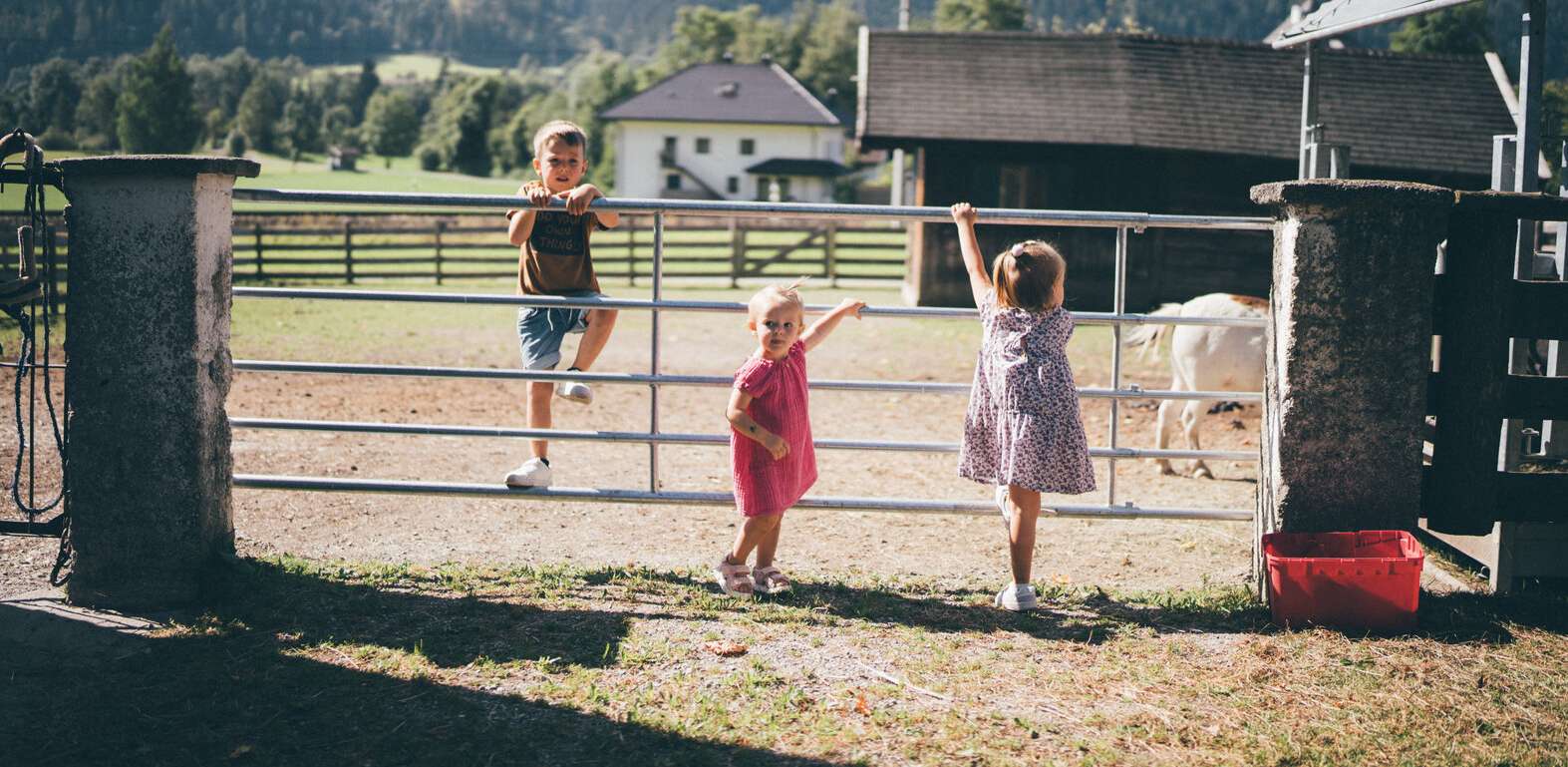 Urlaub am Bauernhof © Urlaub am Bauernhof/Daniel Gollner