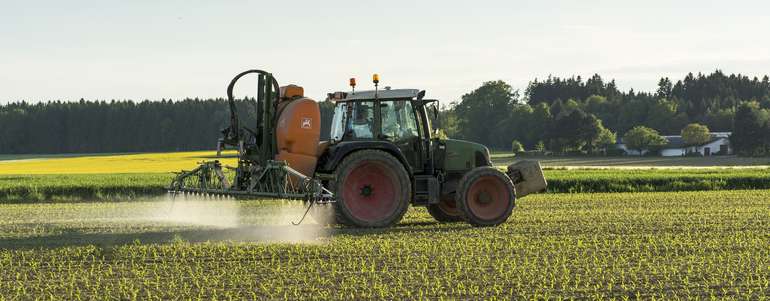 Mais_Herbizid_144-ID65709.jpg © agrarfoto.com Mais_Herbizid_144-ID65709.jpg © agrarfoto.com
