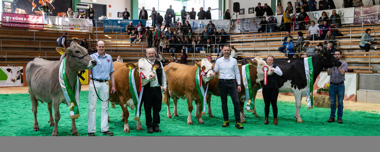 Champions_Rind Steiermark_Baumann.jpg © Rind Steiermark, Baumann