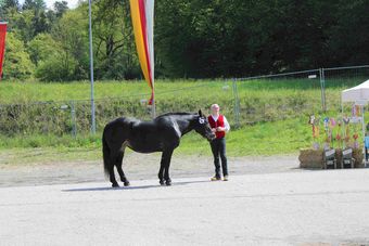 © Frießnegger