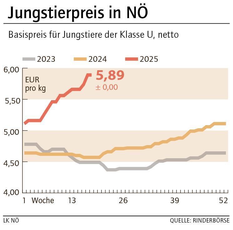 Grafik Stierpreis 18_2025.jpg © LK NÖ Grafik Stierpreis 18_2025.jpg © LK NÖ