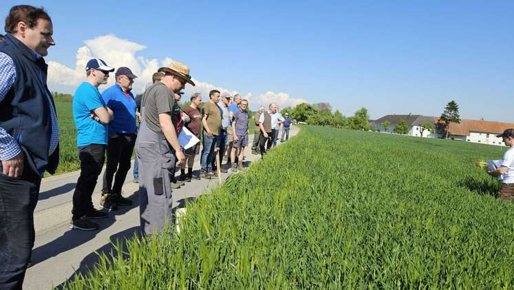 Feldbegehung des Arbeitskreises "BWS" Rohr im Kremstal, 28. April 2025