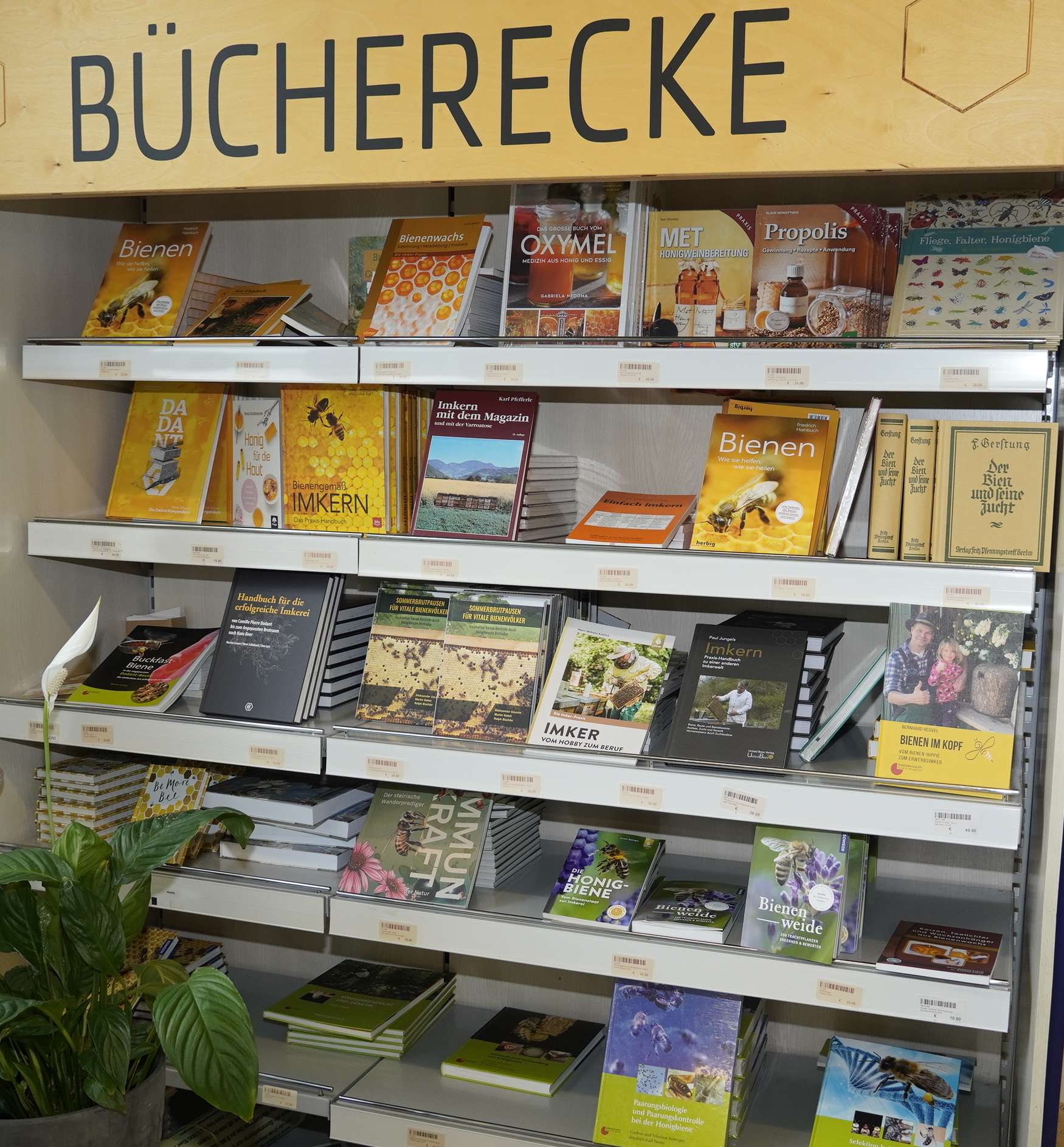 sb18_mt_books.jpg © Dürnberger