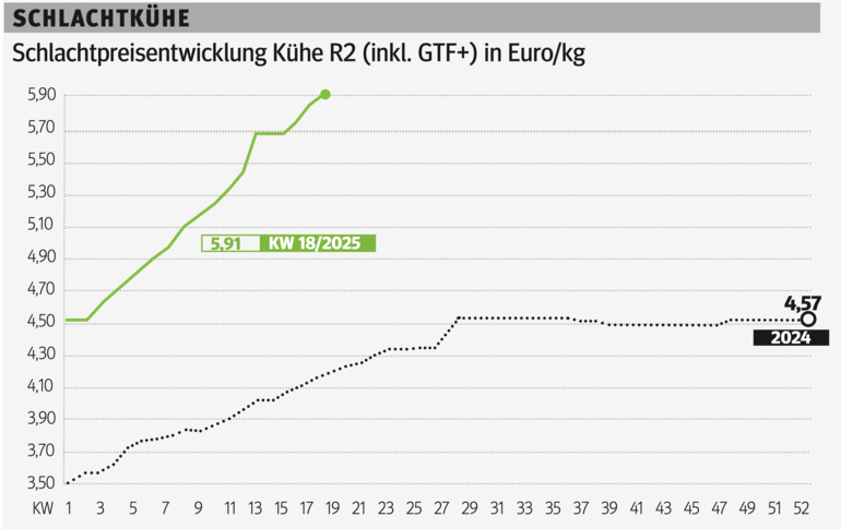 Schlachtkuhgrafik KW 18.png © Grafik RZV