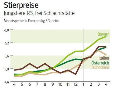 NÖ: Ausblick auf den Schlachtstiermarkt im Mai 2025 © LK NÖ
