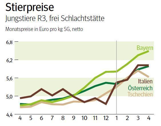 NÖ: Ausblick auf den Schlachtstiermarkt im Mai 2025 © LK NÖ
