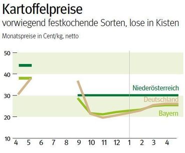 NÖ: Ausblick auf den Karoffelmarkt im Mai 2025 © LK NÖ